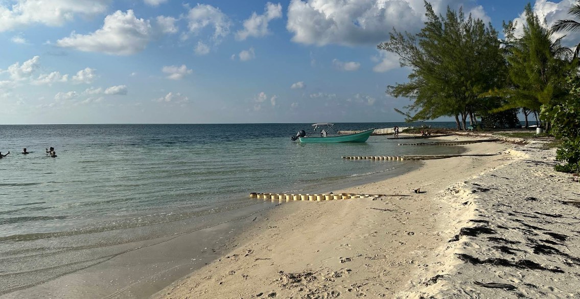 Calm shallow water and shaded shoreline at Starfish Point, Grand Cayman